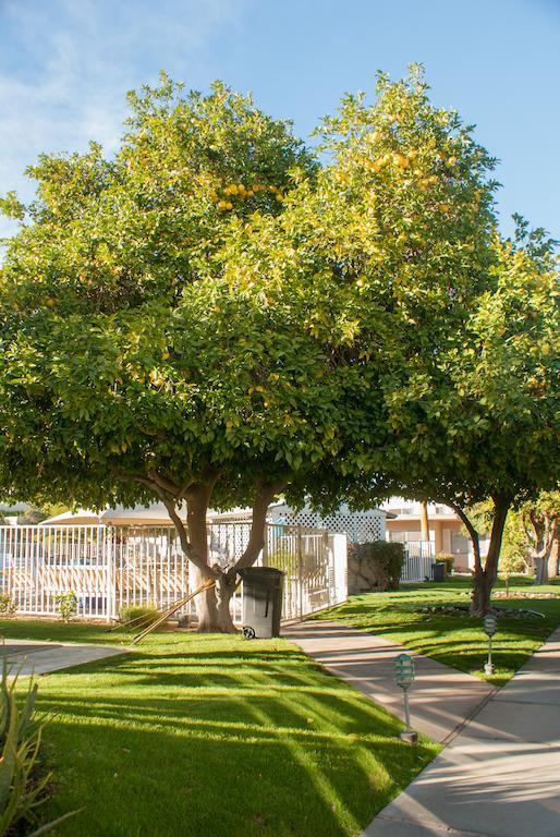 Tuscany Manor Palm Springs Luaran gambar